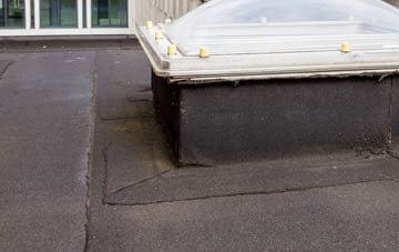 disadvantages of New Lane flat roofs