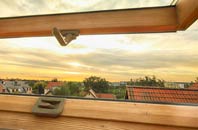 rated New Lane roof window companies